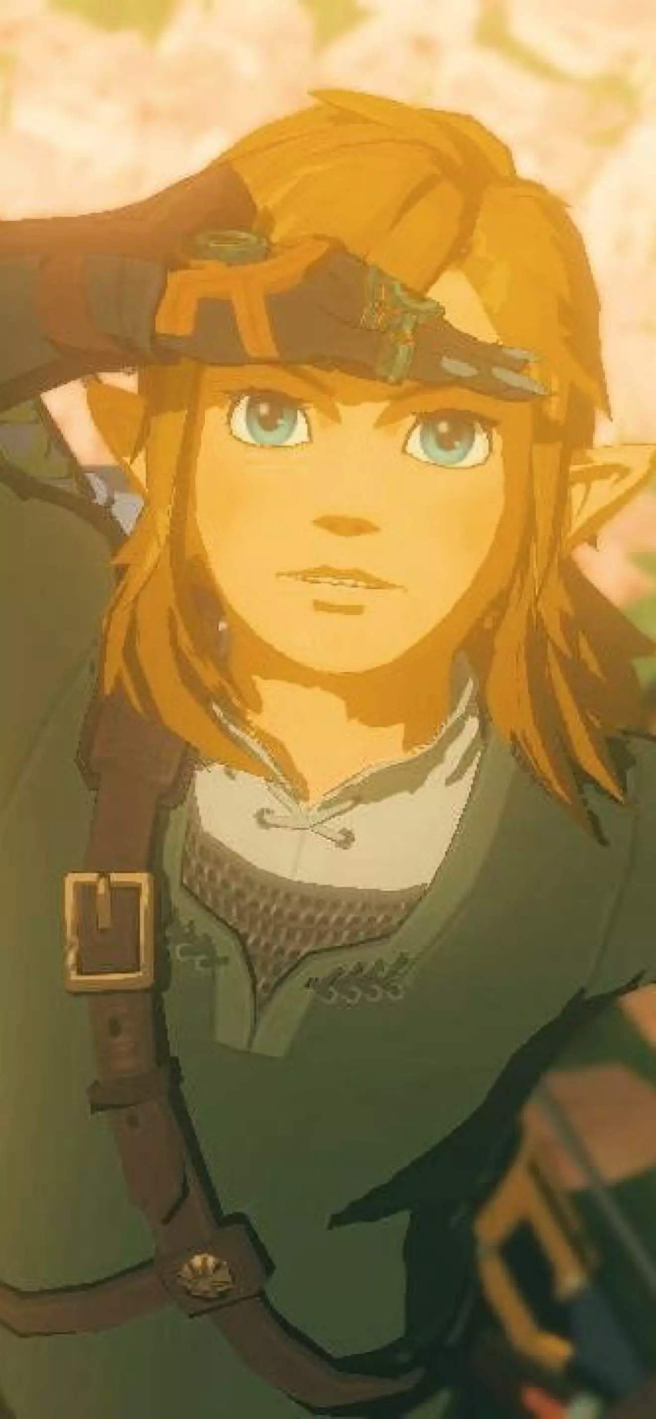 Link