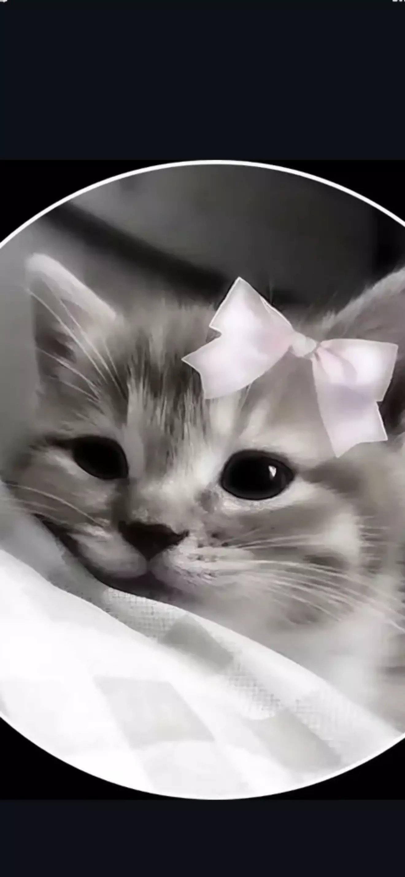 ★Mia★