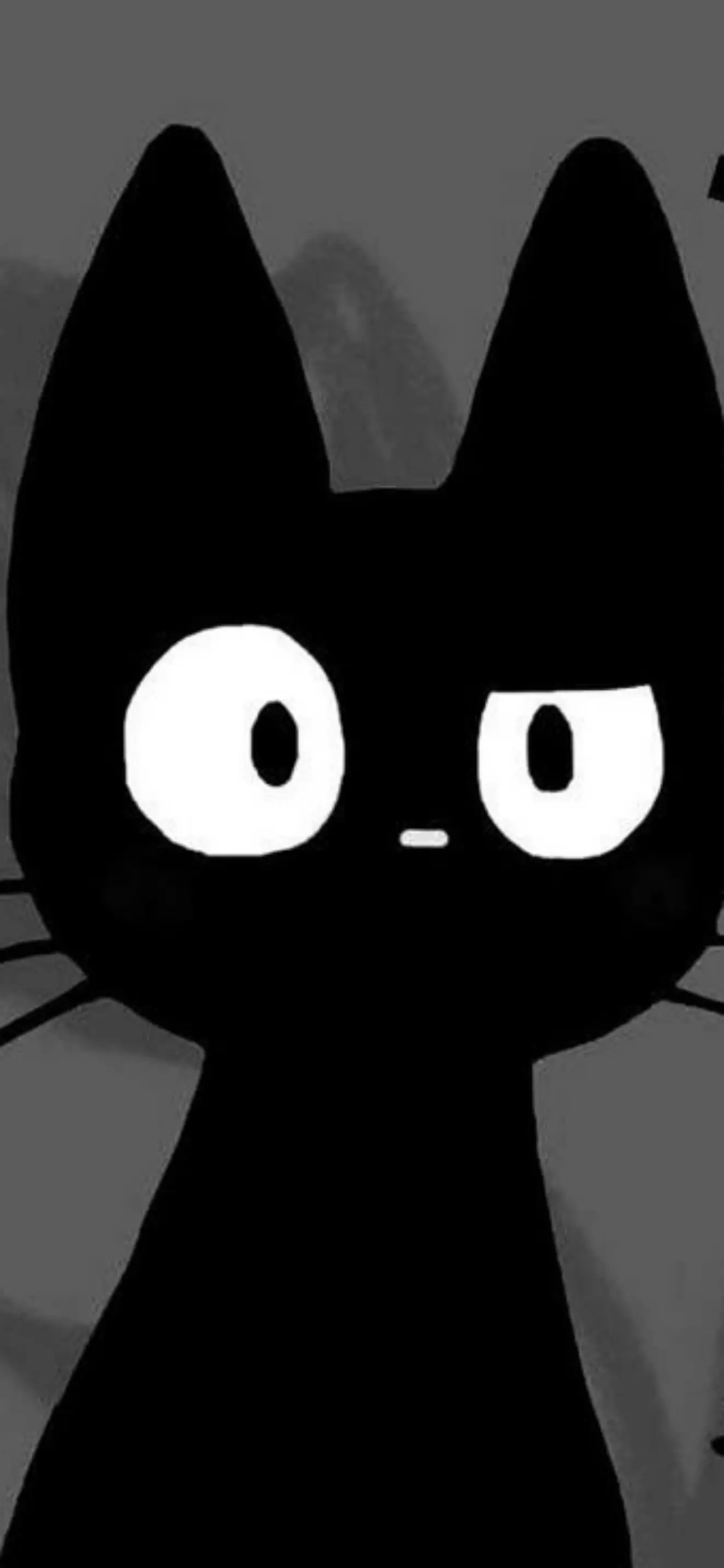 Hikari 