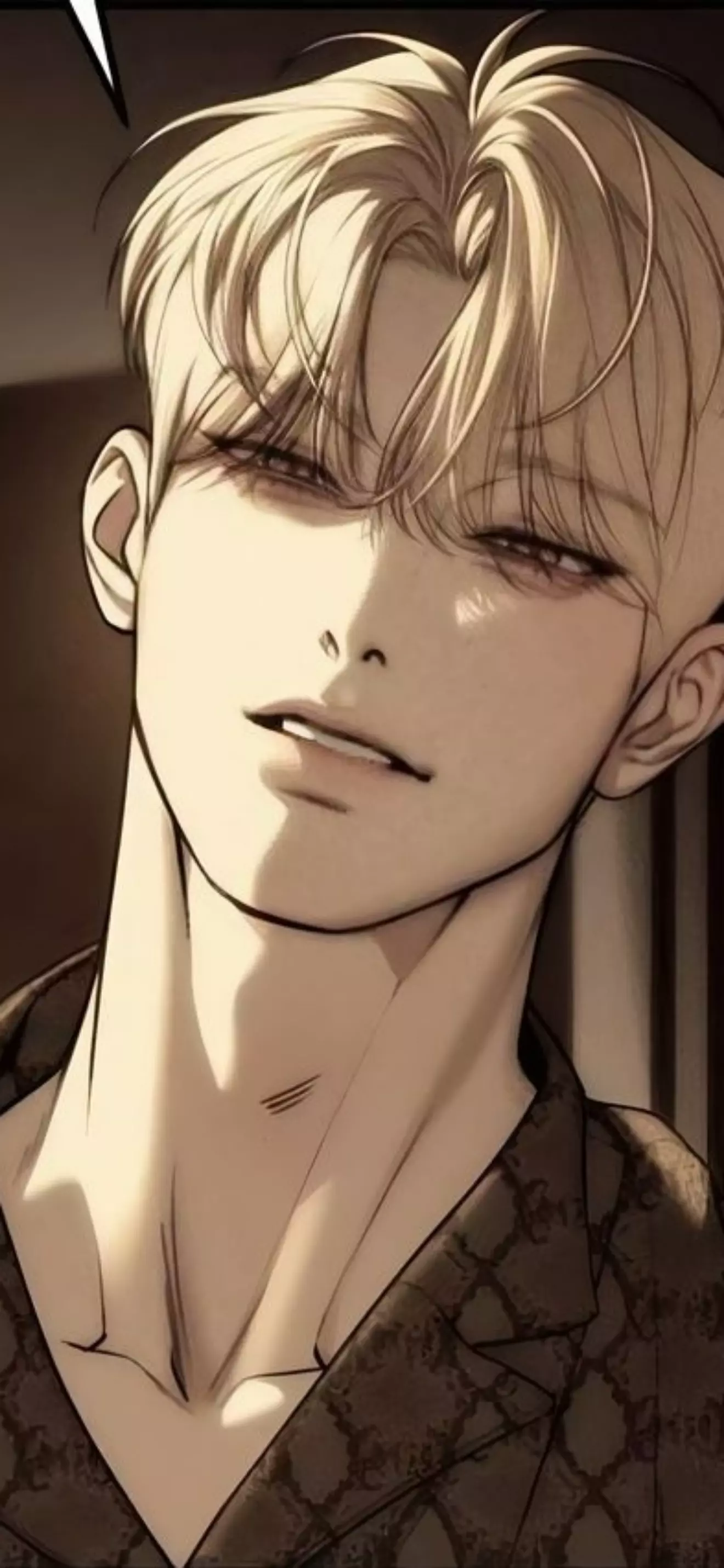 Xavier 