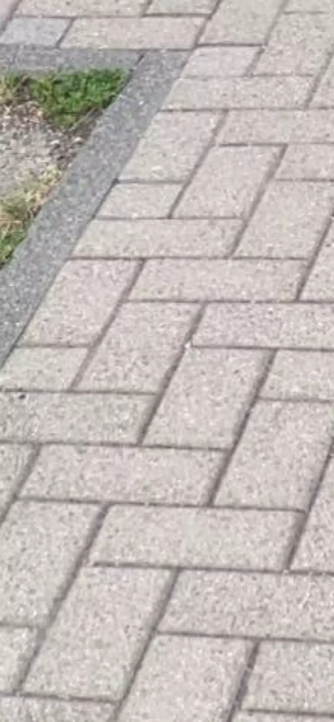 Valentin