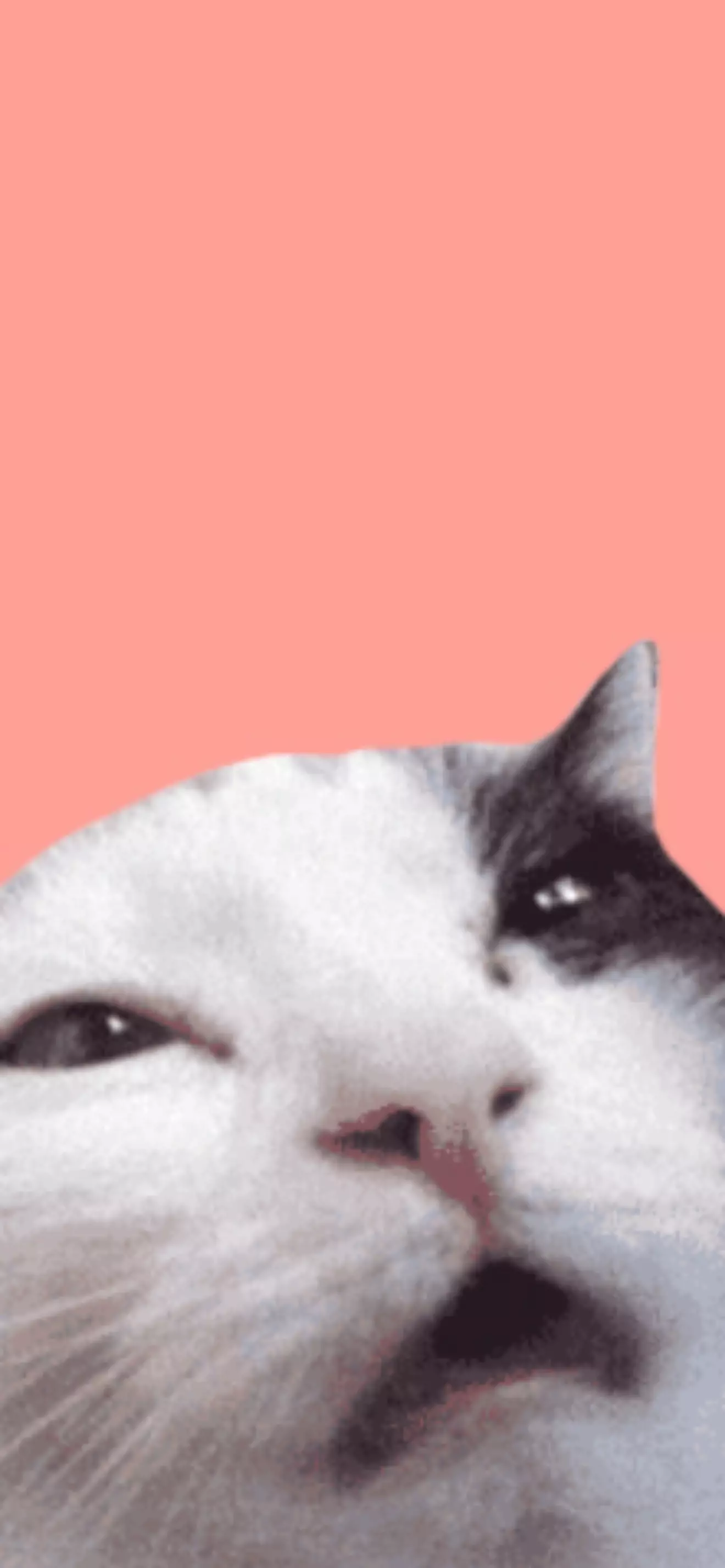 iknowme 