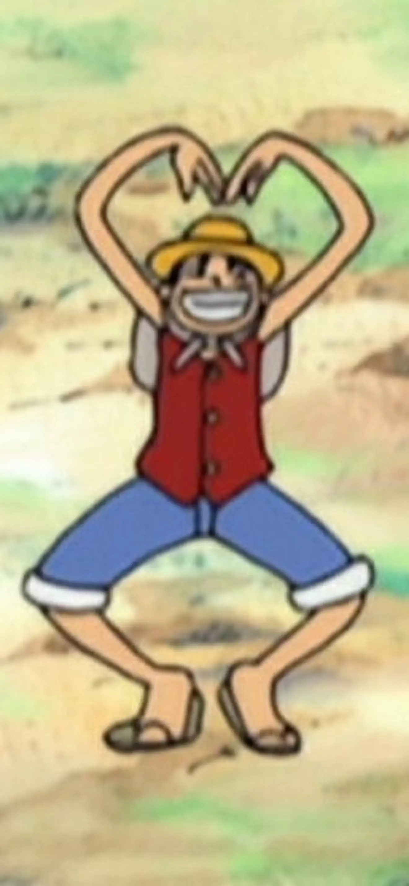 AMO A LUFFY 💗💗