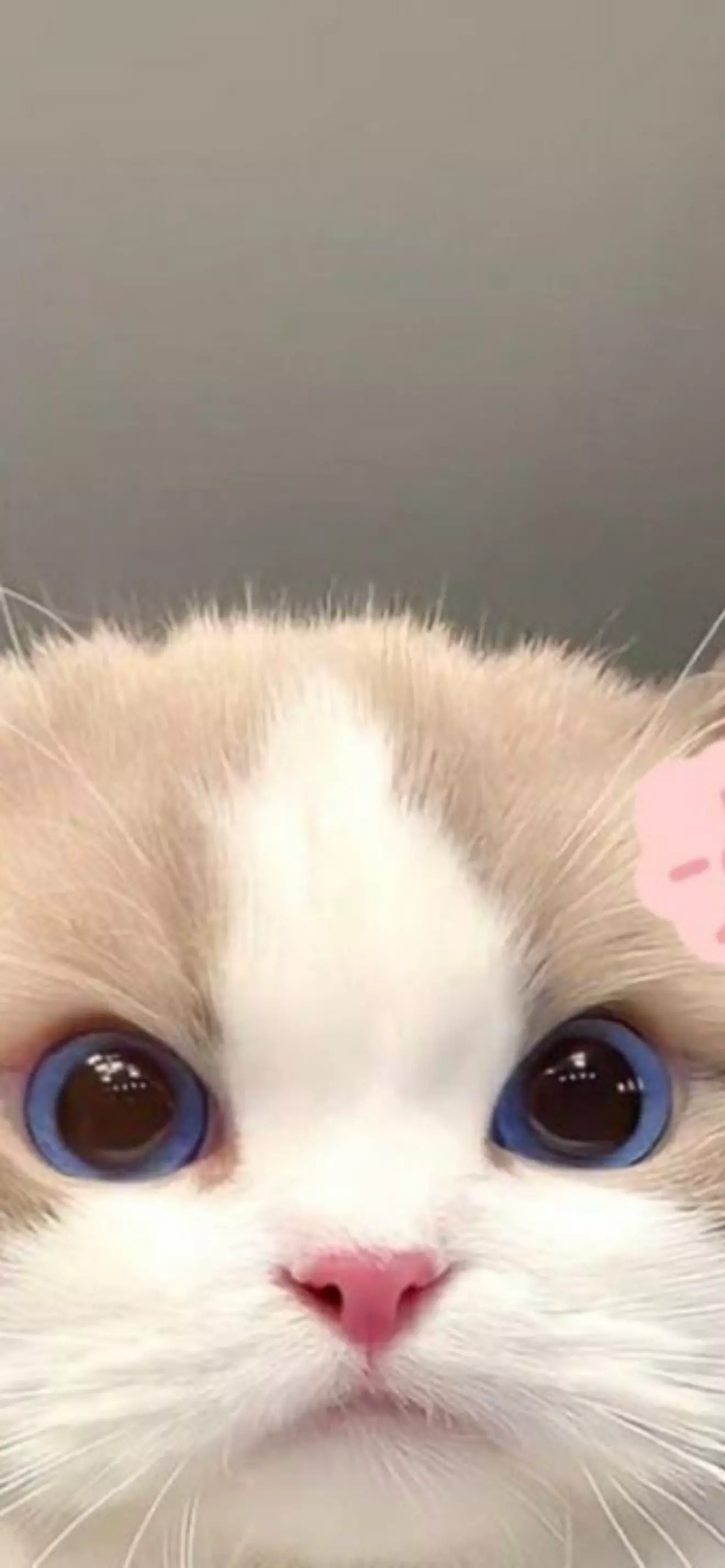 กันๆ
