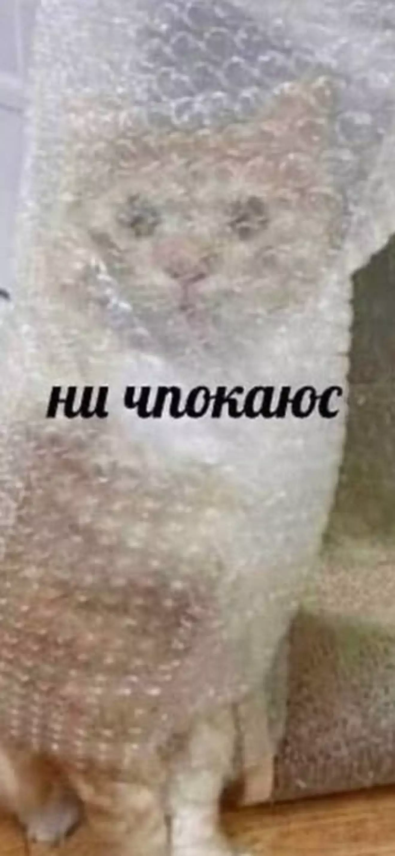 Mano4kaÙwÚ 