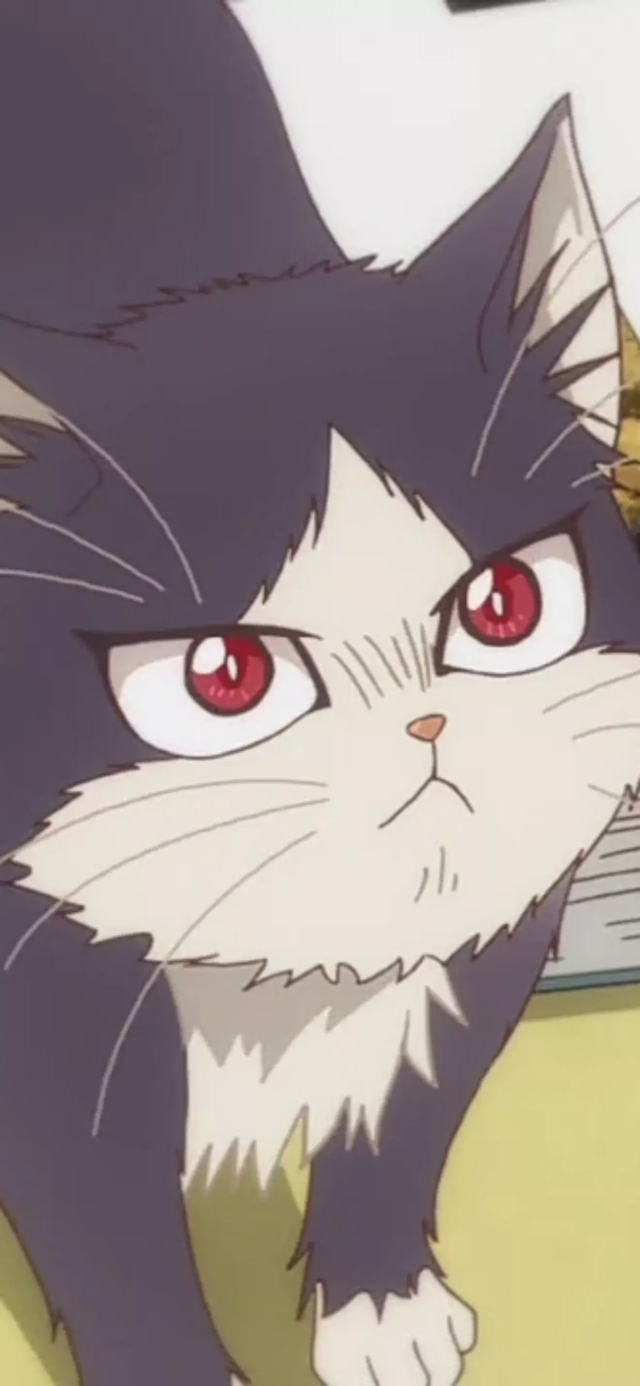 Minazuki Hiyori 