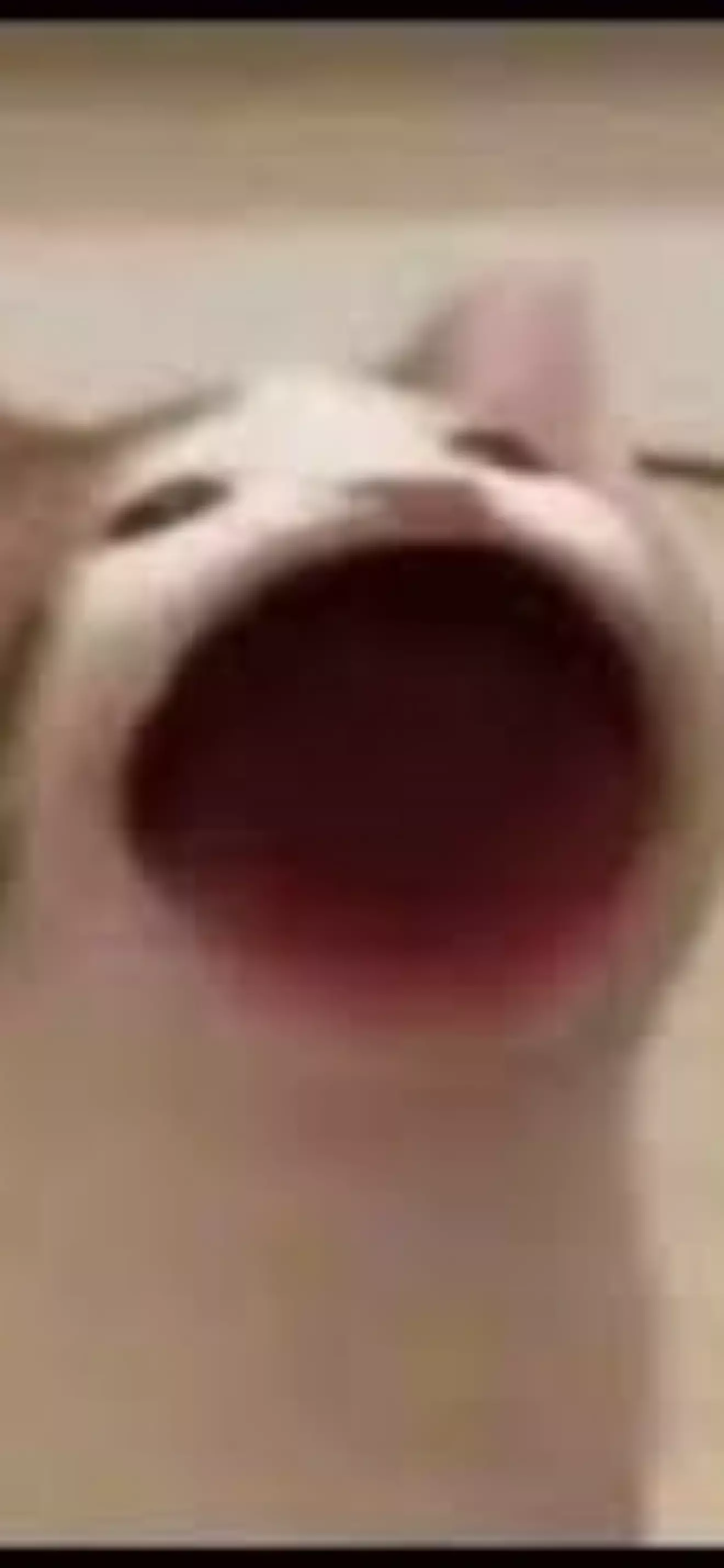 Yami