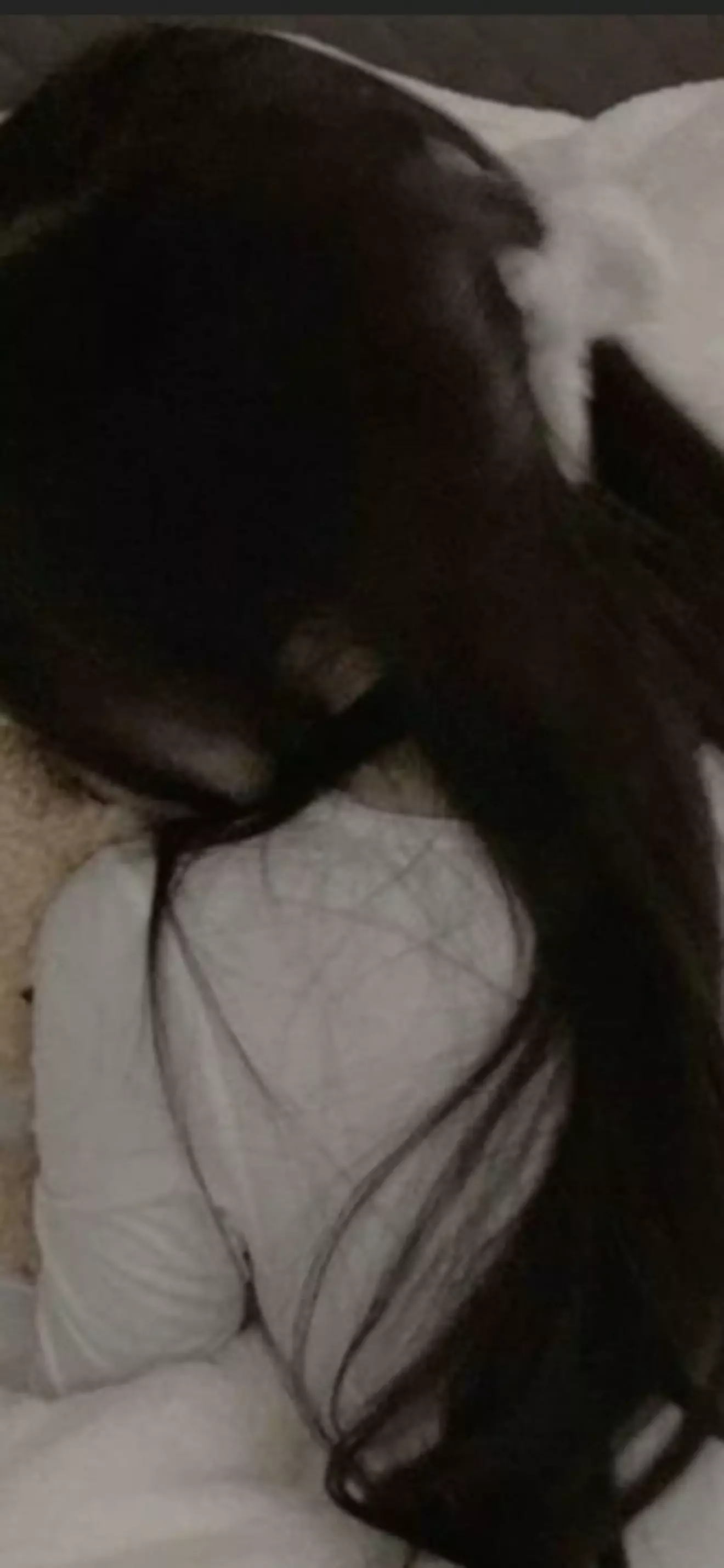 ._.