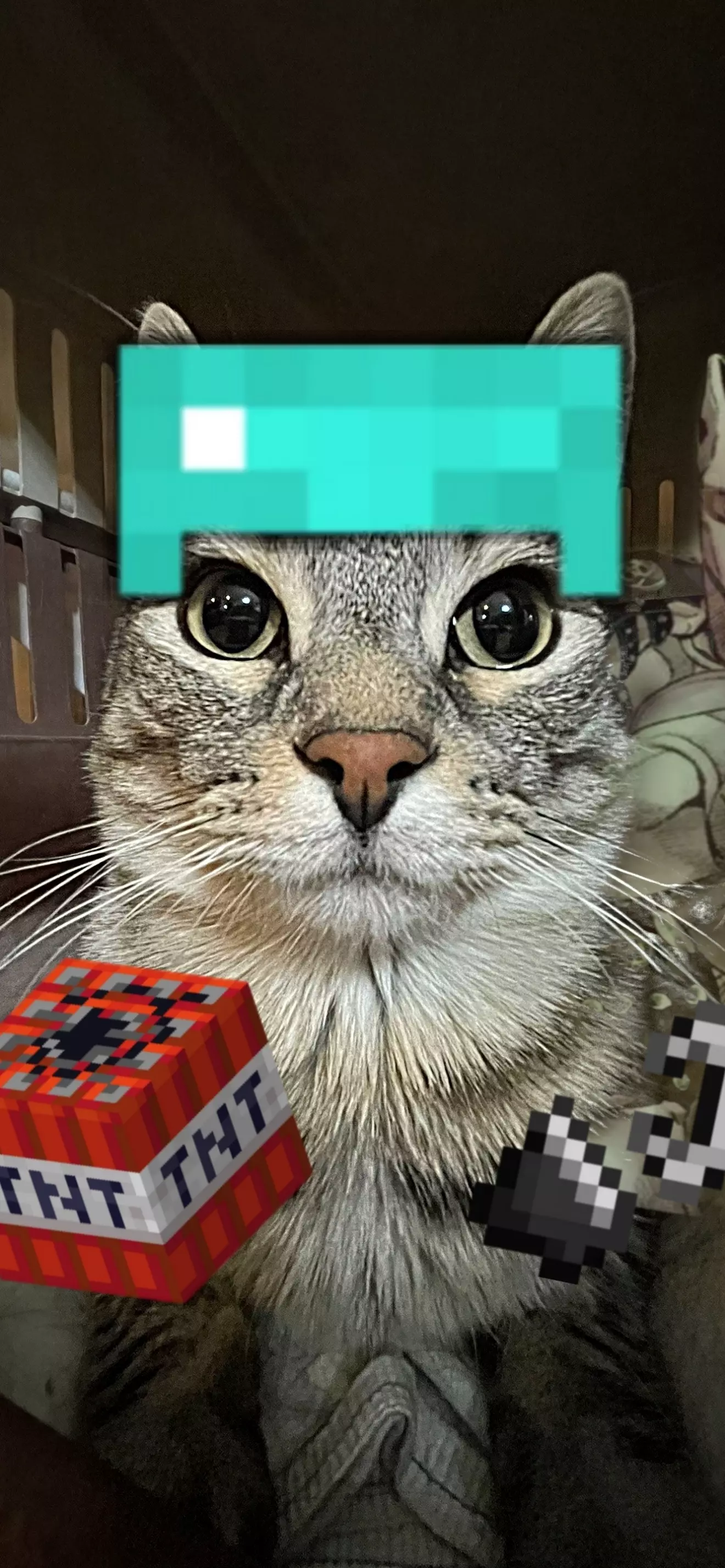 Kotaru 