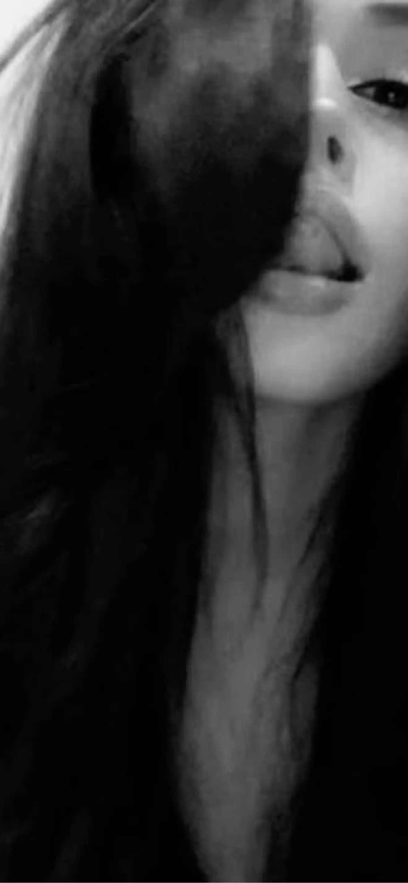 steyvany