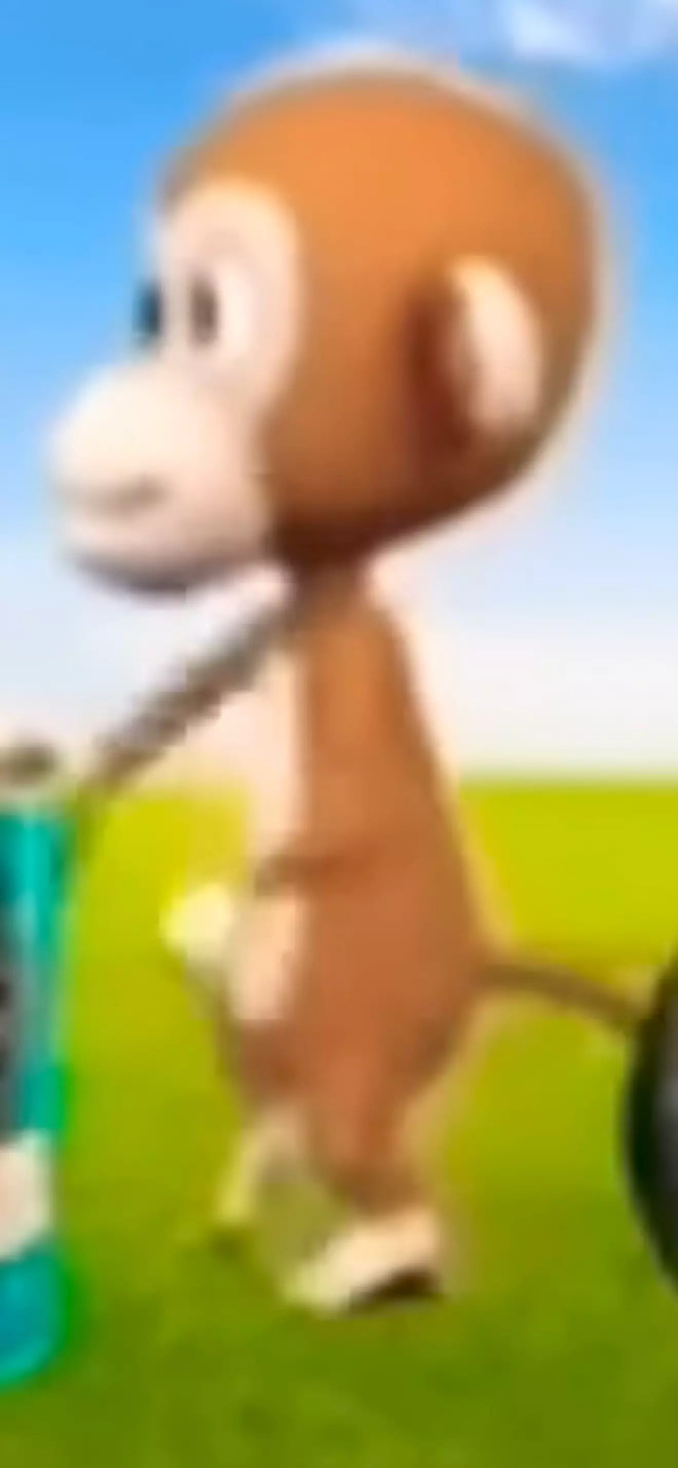 David