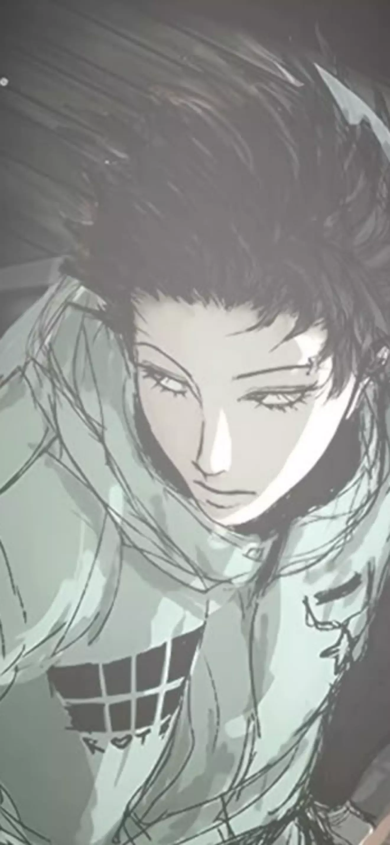 Hachi 