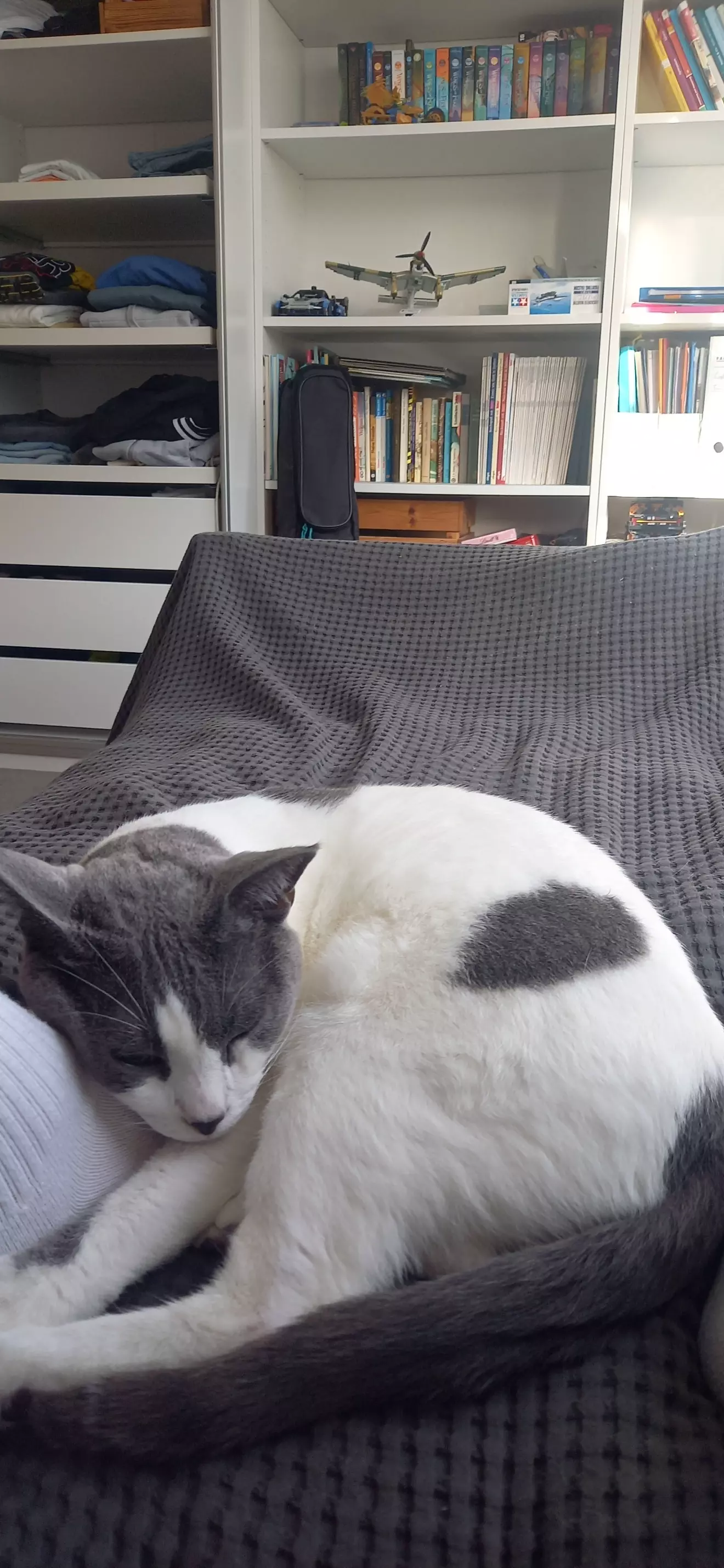  Vanja 