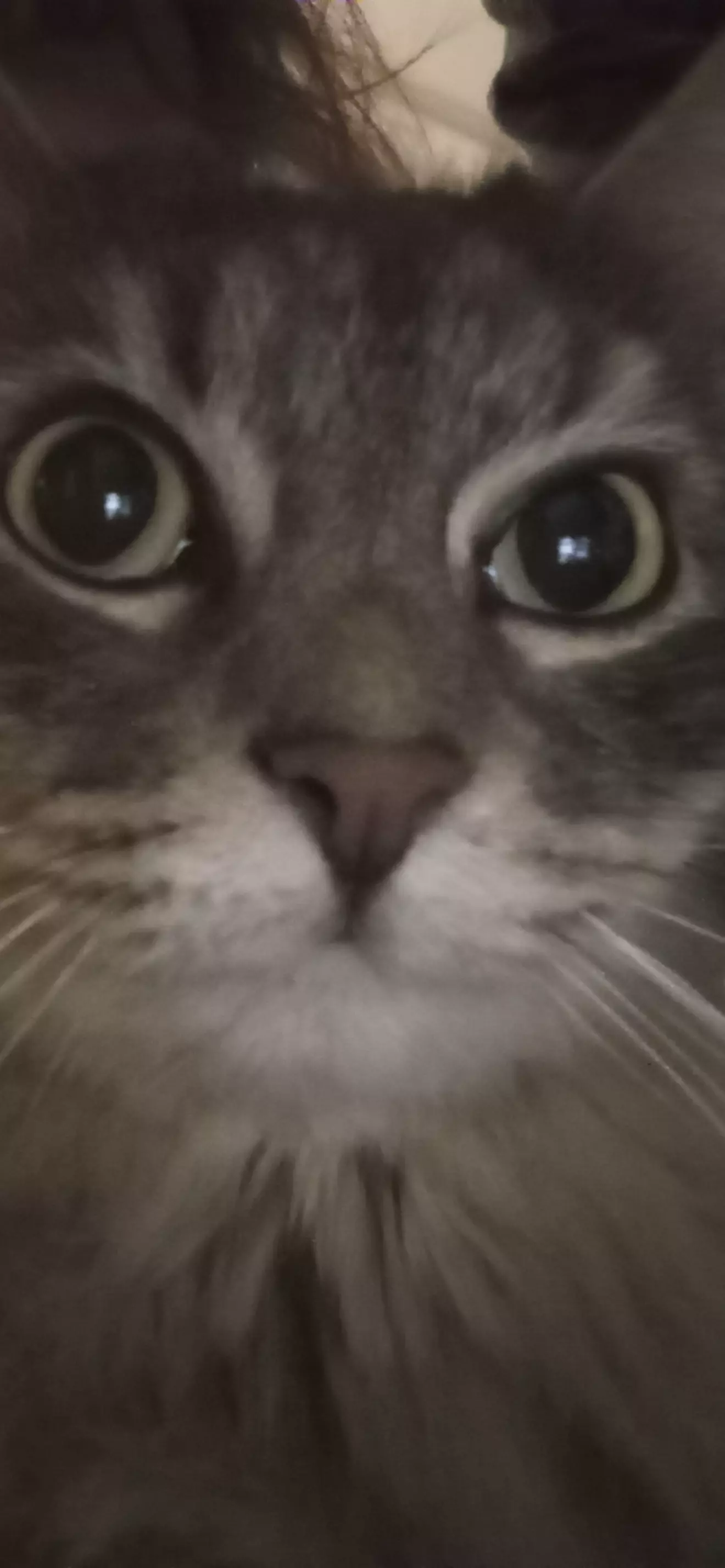 HYPERDEMONED