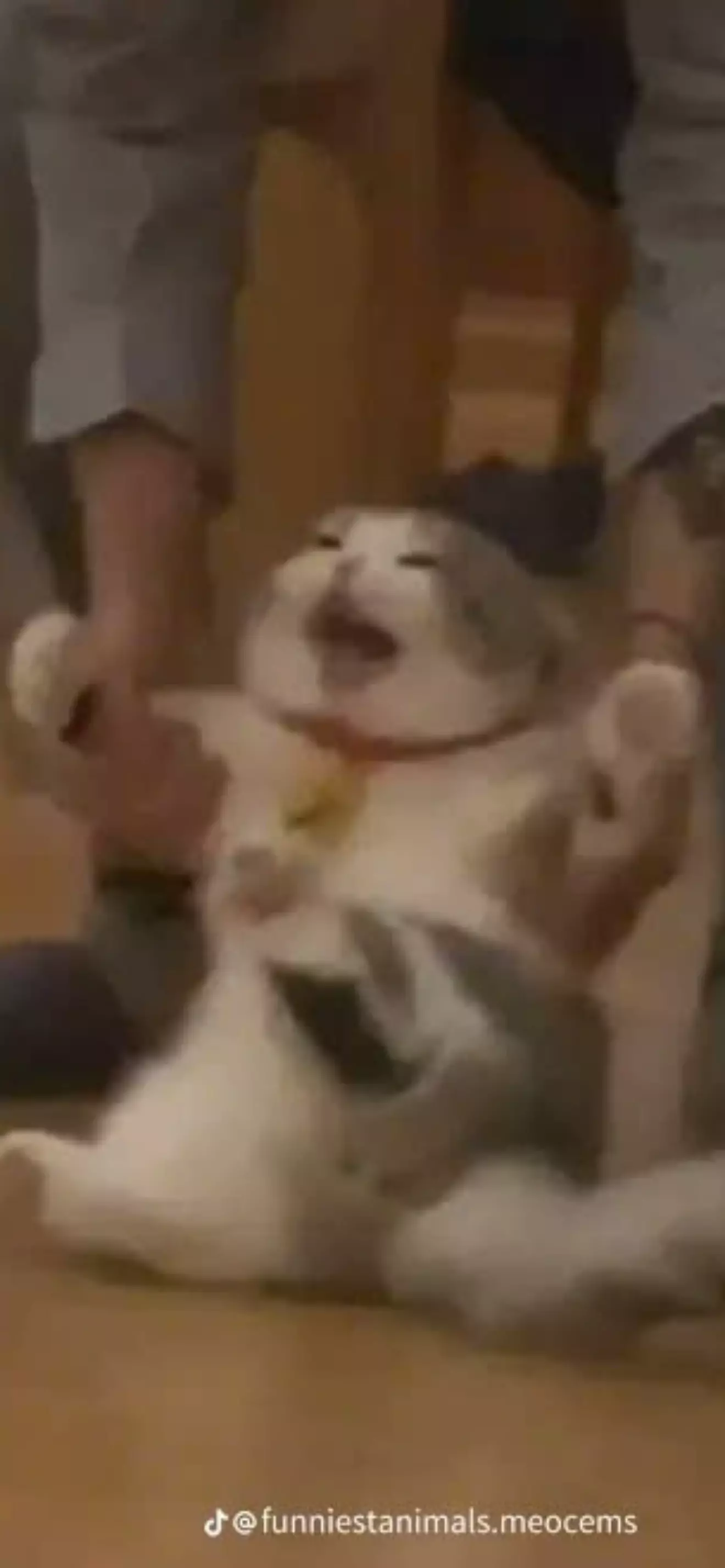 Bé bơ