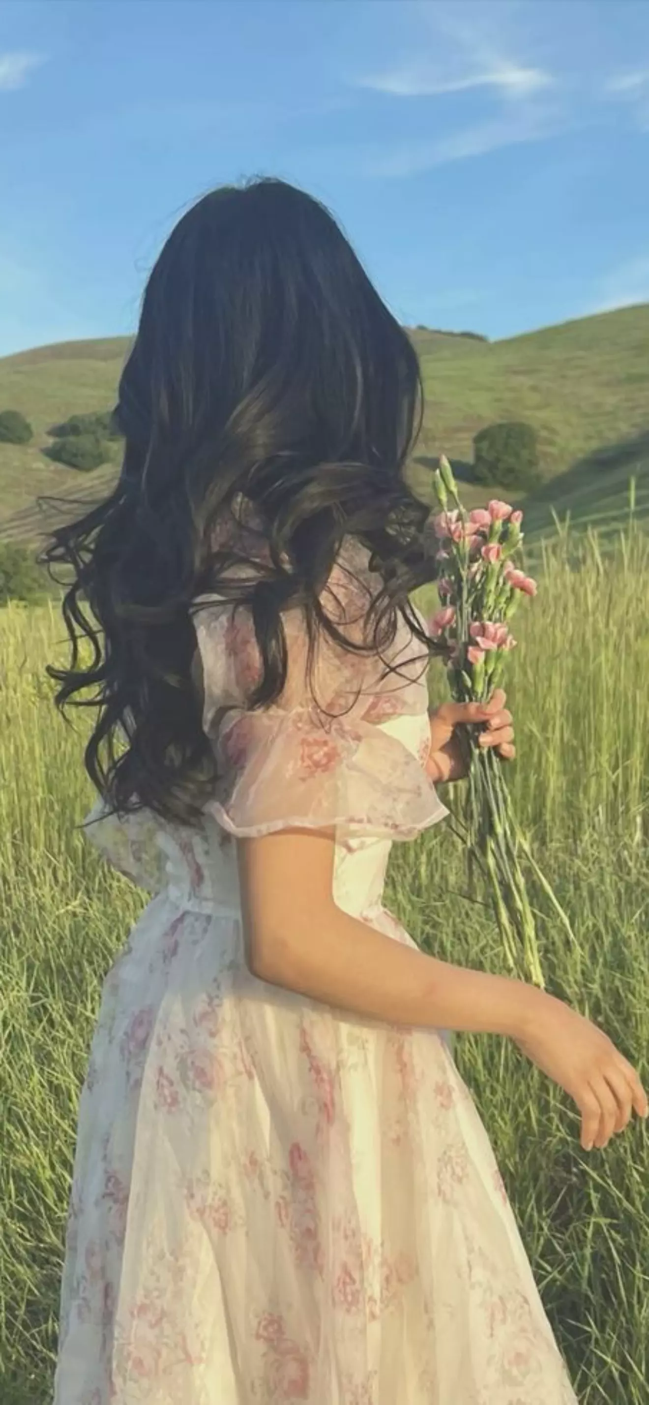 Sevelyn