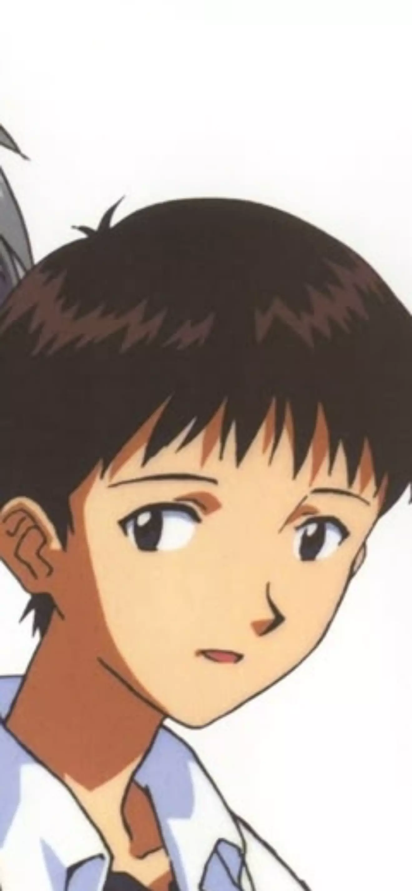 Shinji 