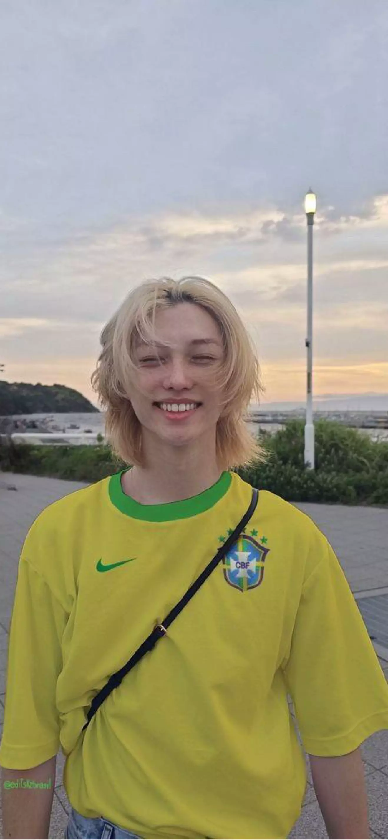 lice que viu o skz