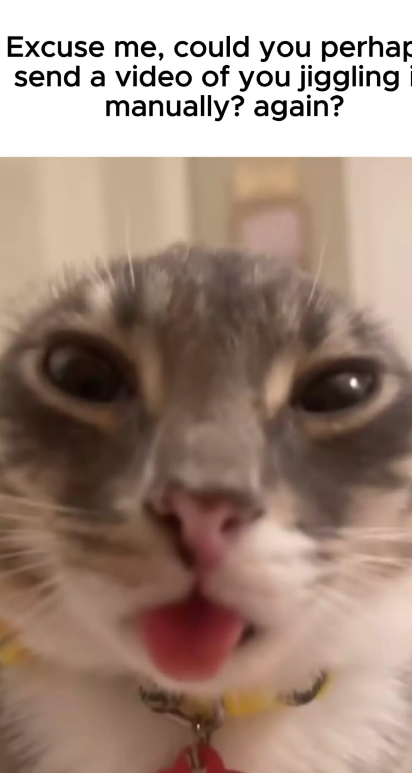 Elli