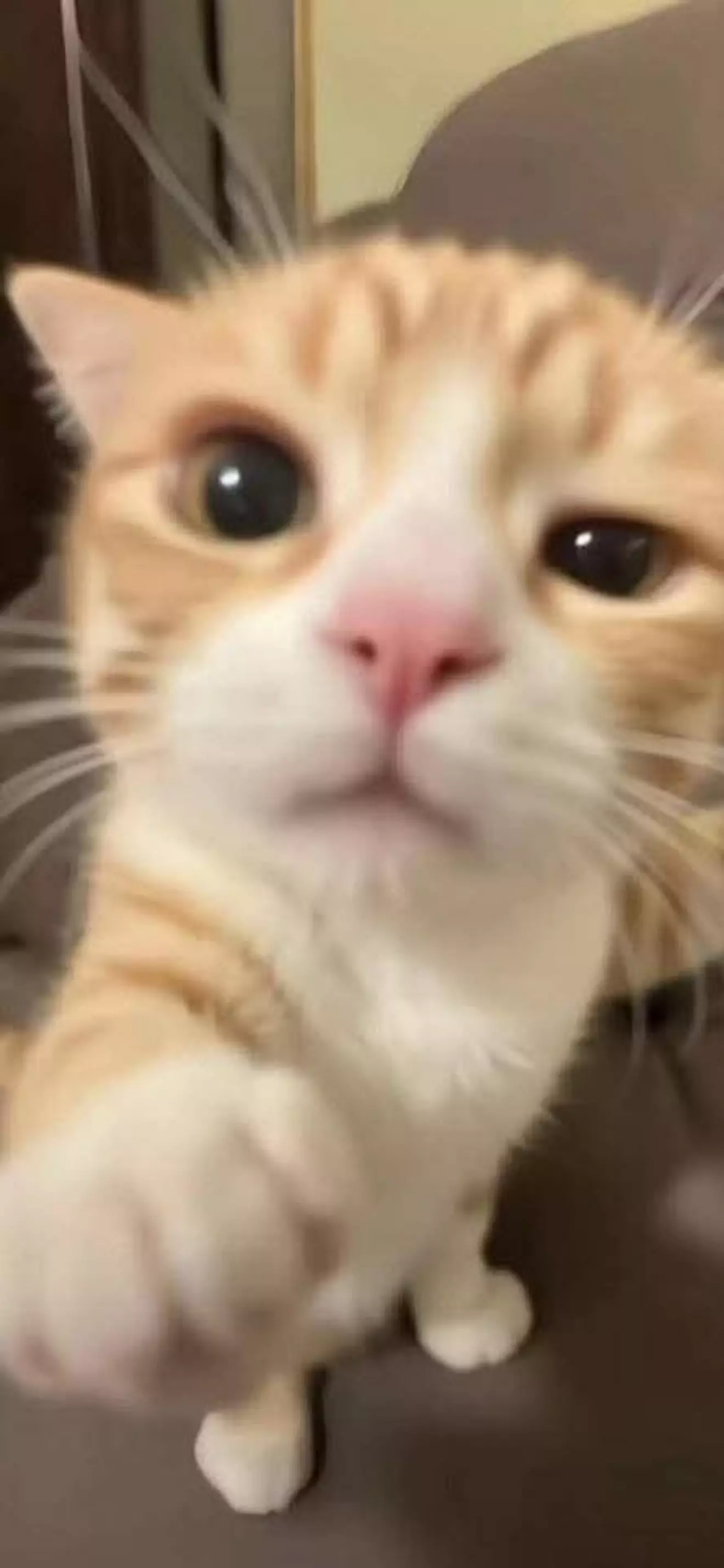 MAR