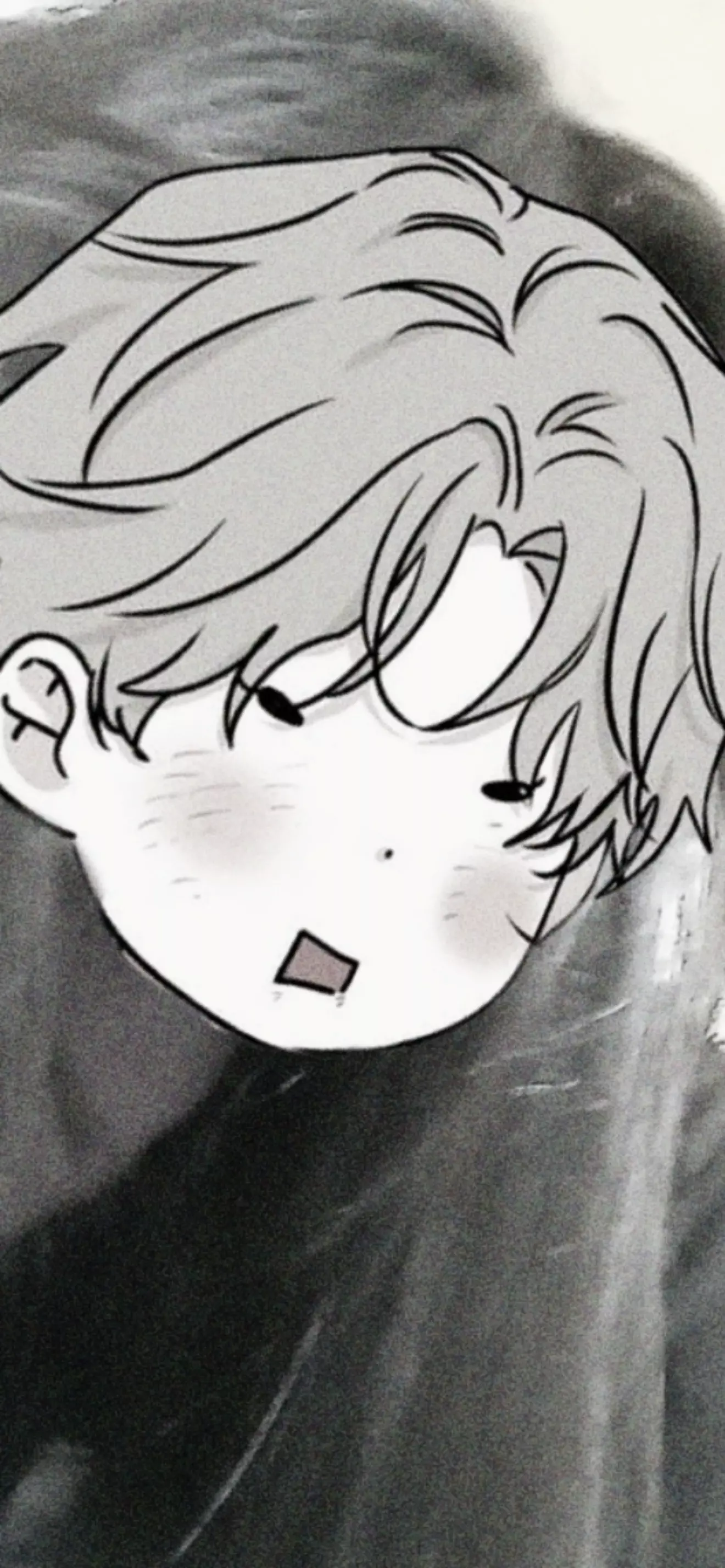 Y/N