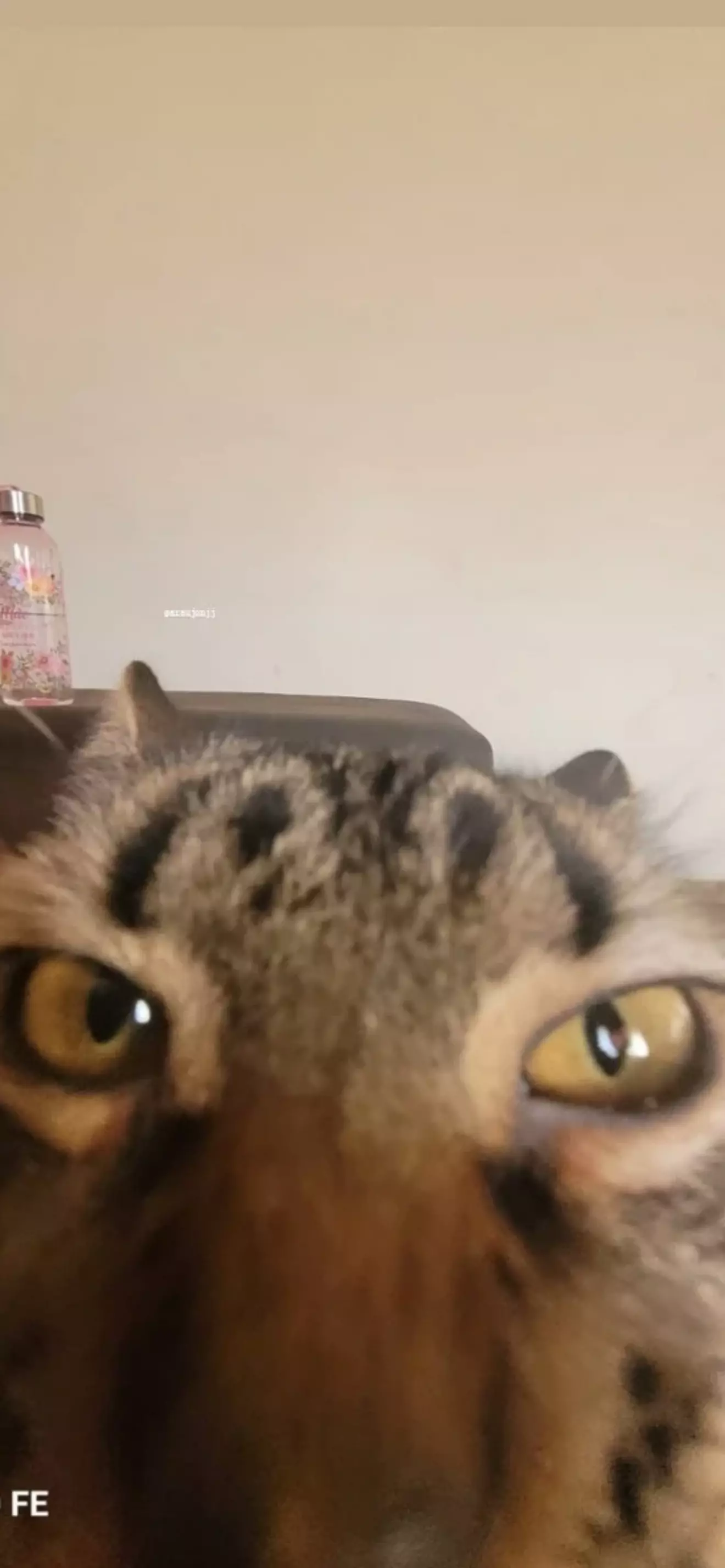 Mia