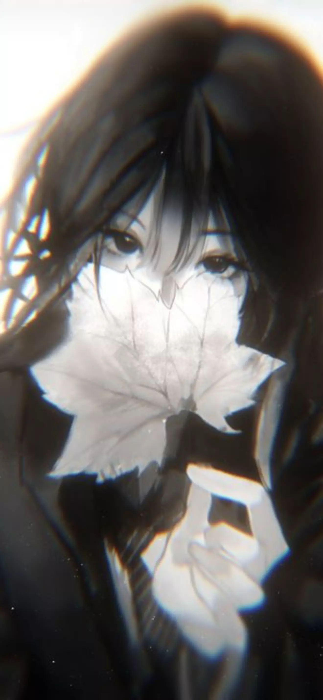 Jasmine