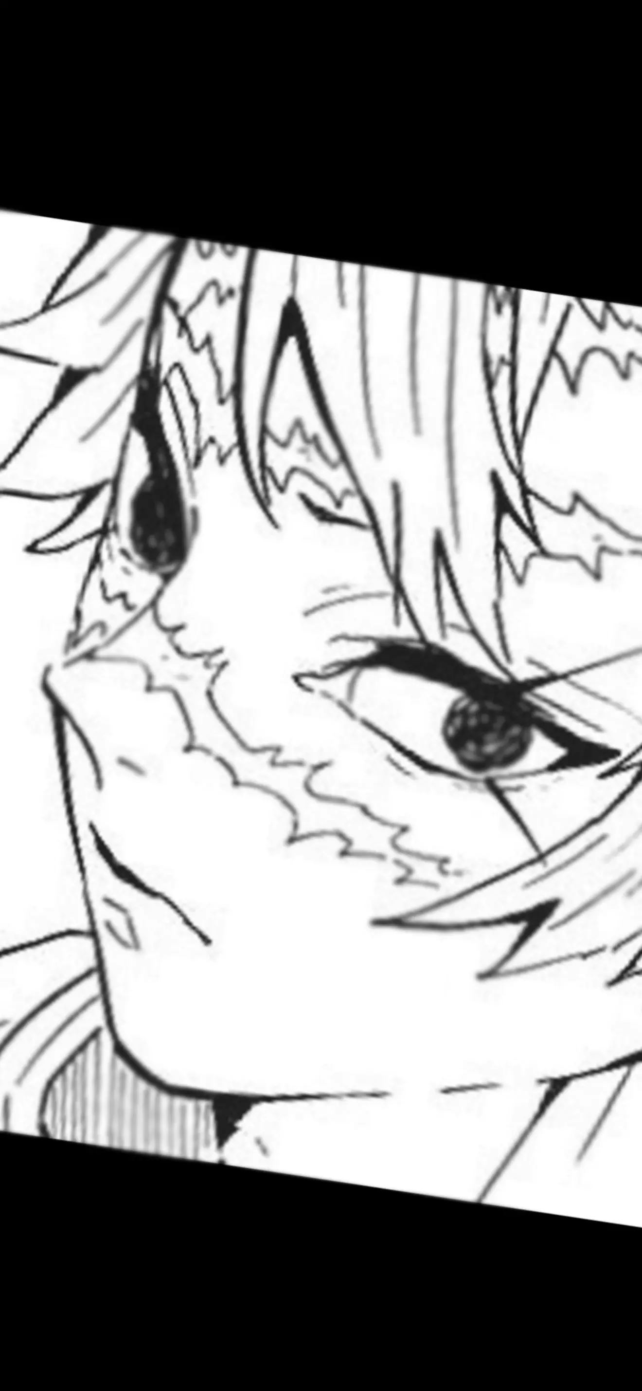 Fan N°1 del Sanegiyuu!