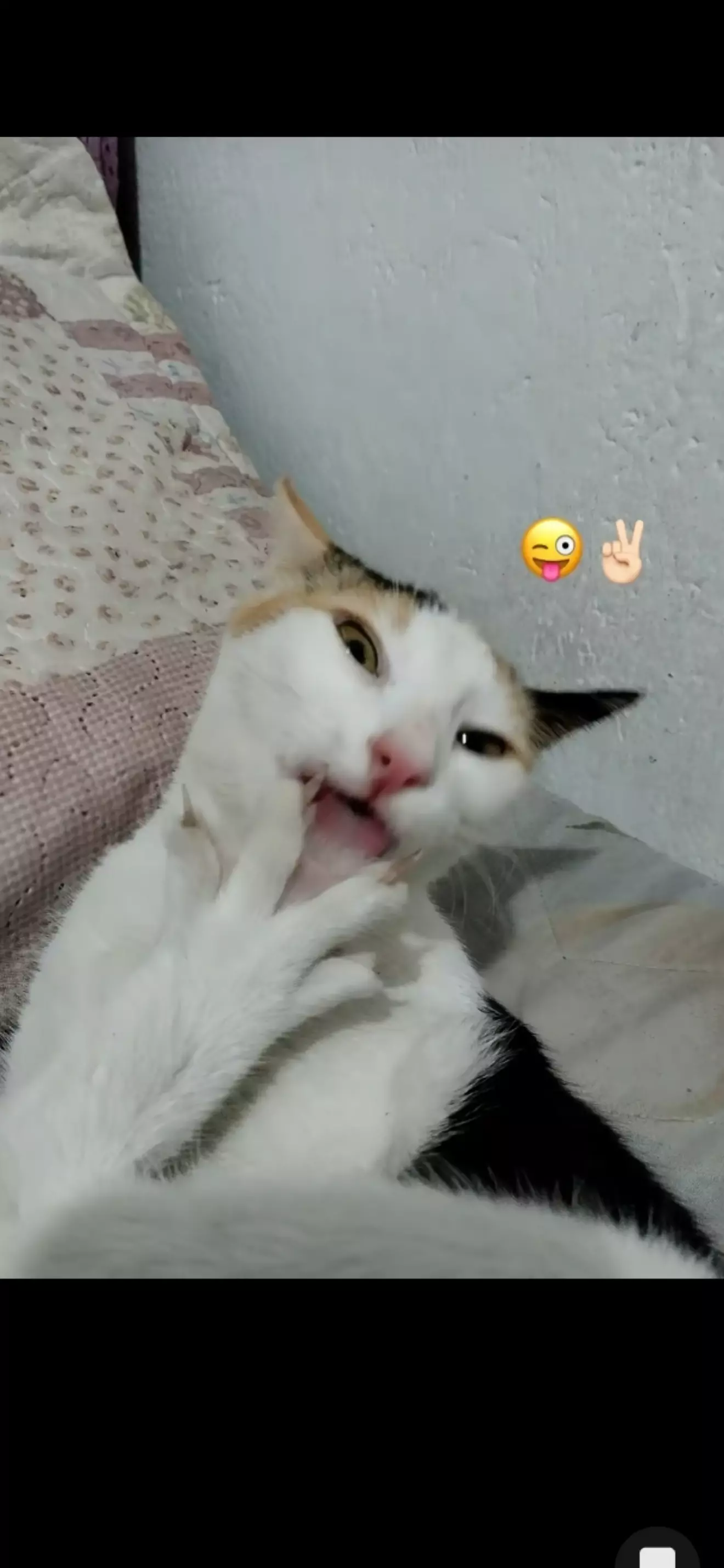 Min