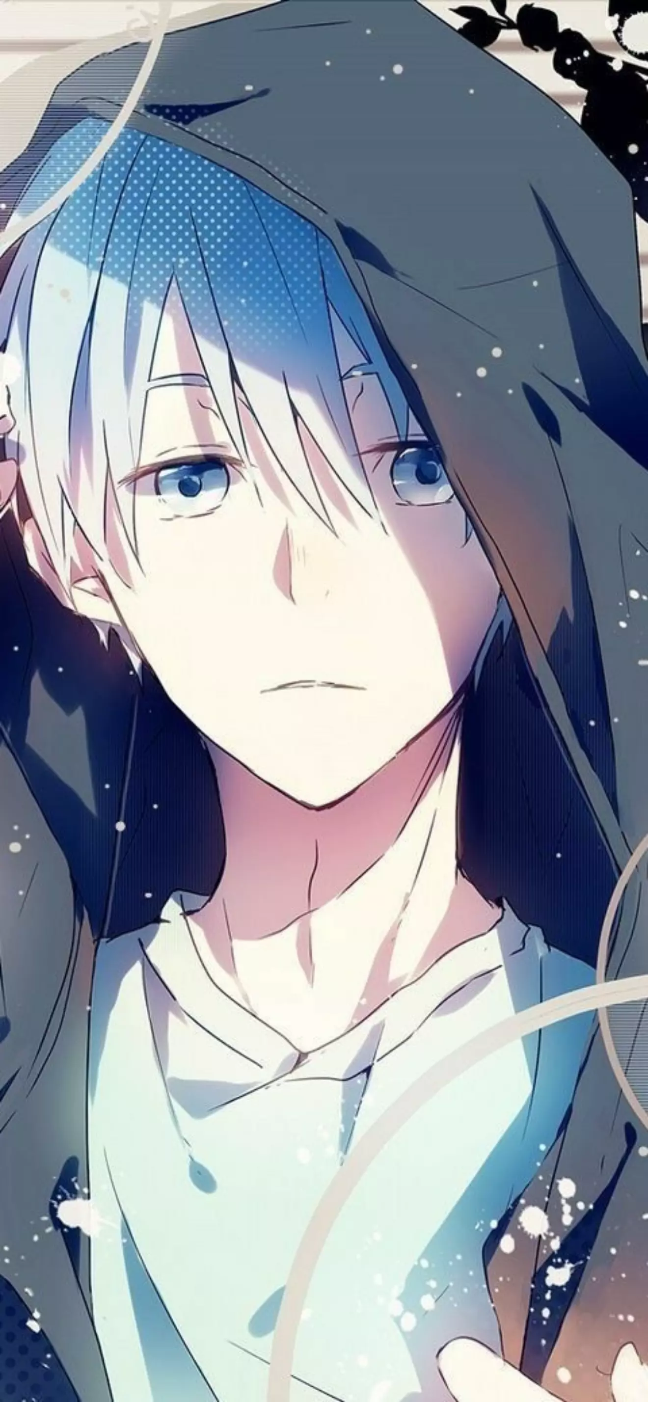 Noah 