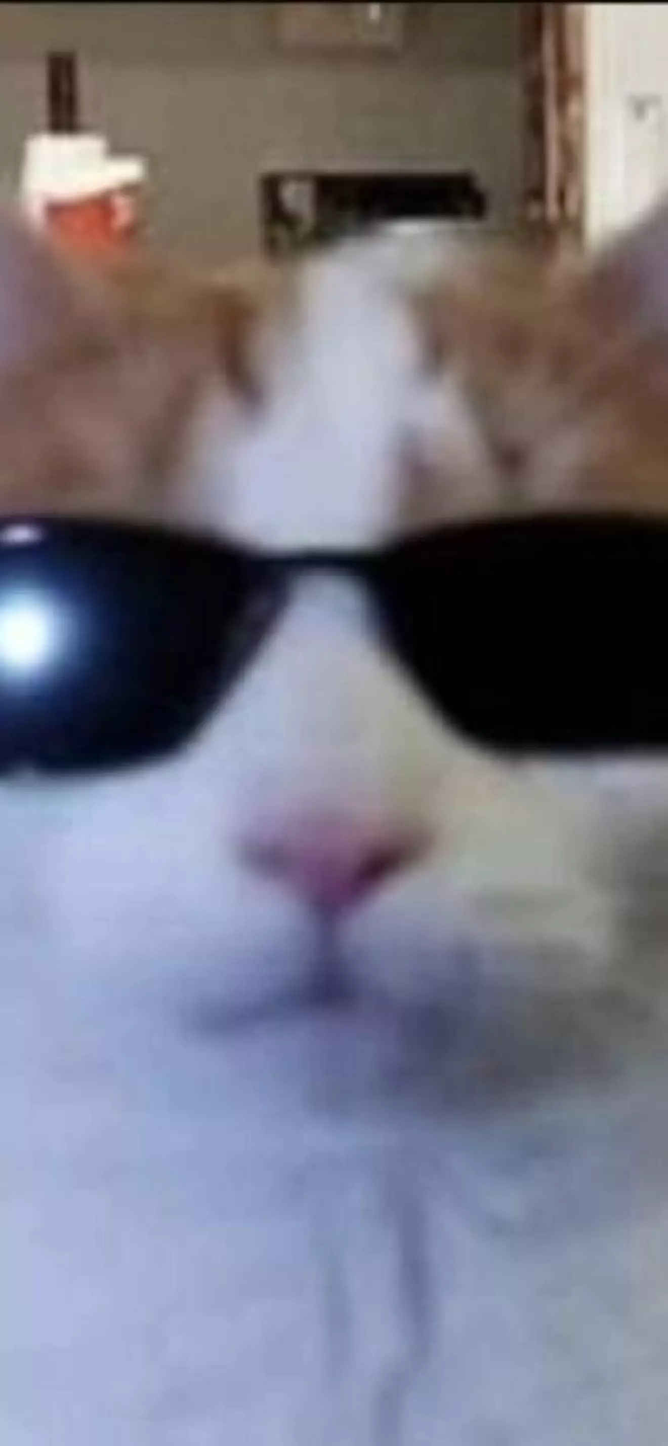 Саша