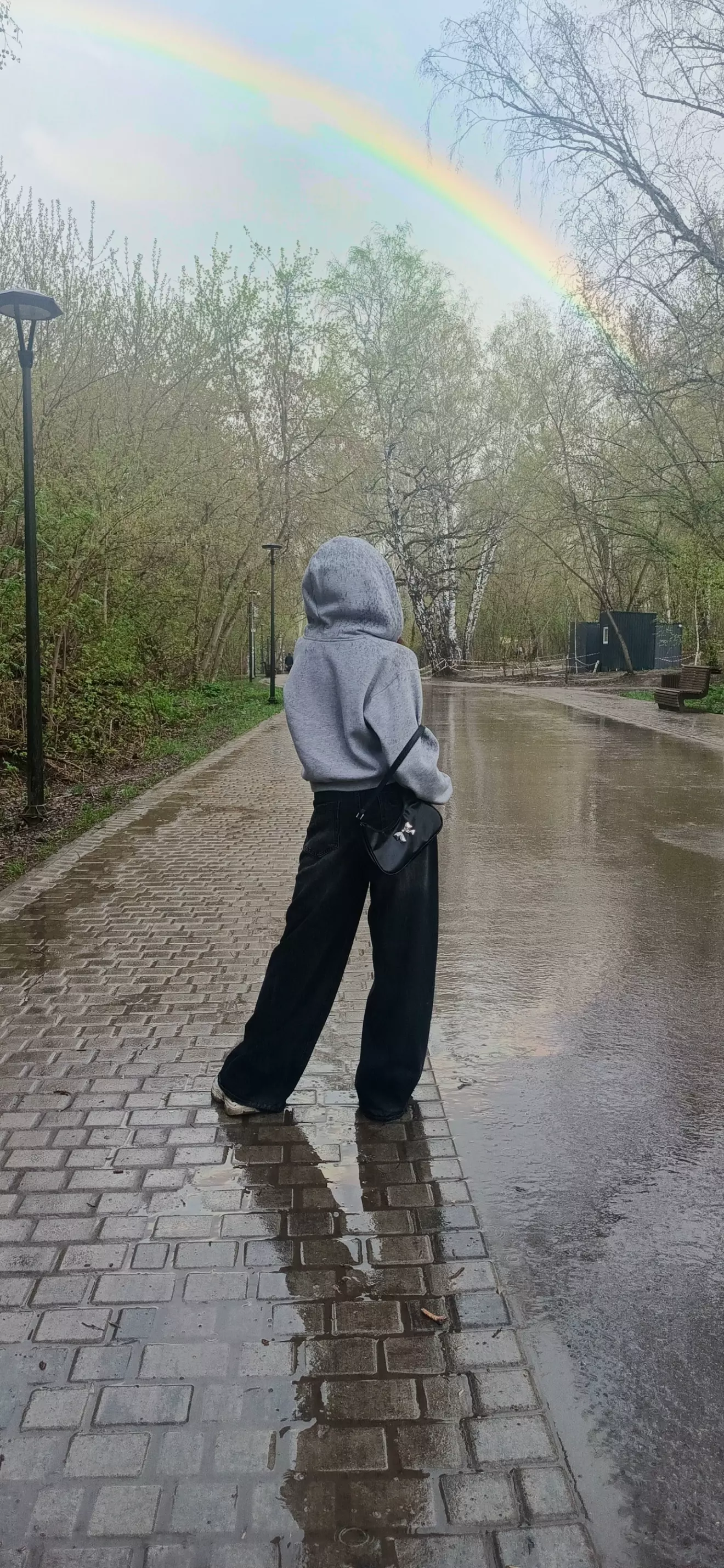 Лиса