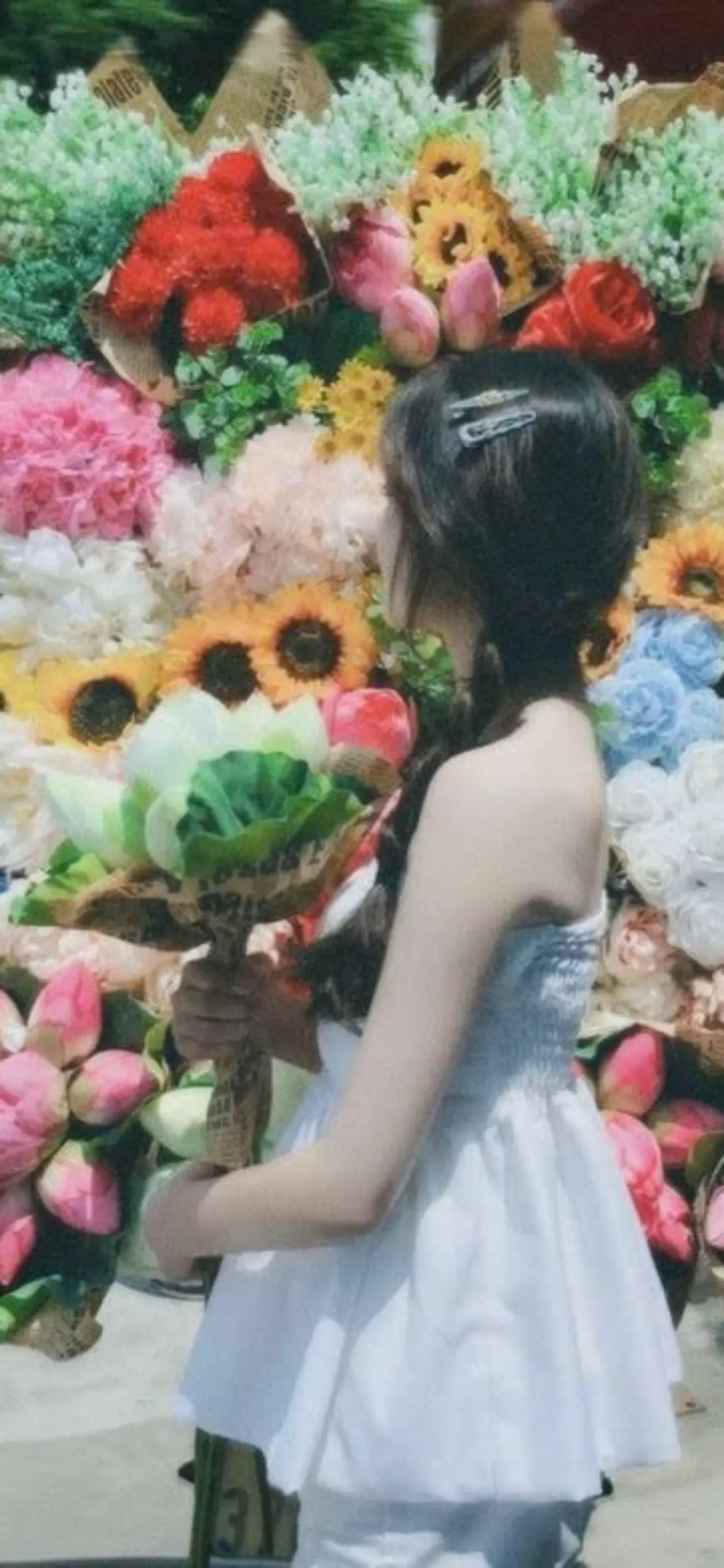 miêu miêu