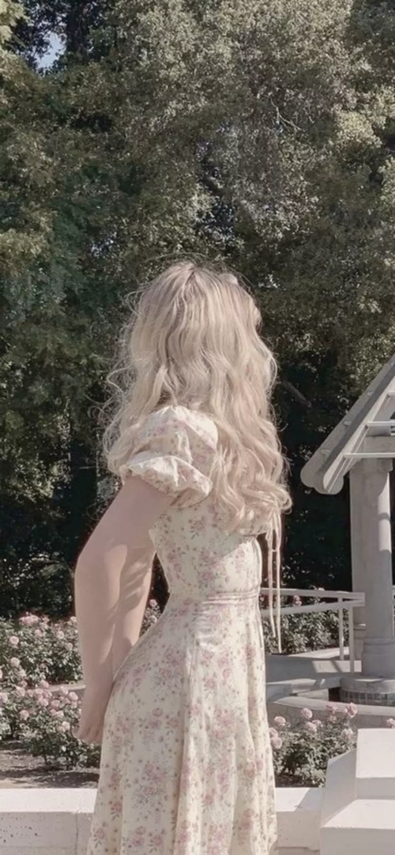 Stella 