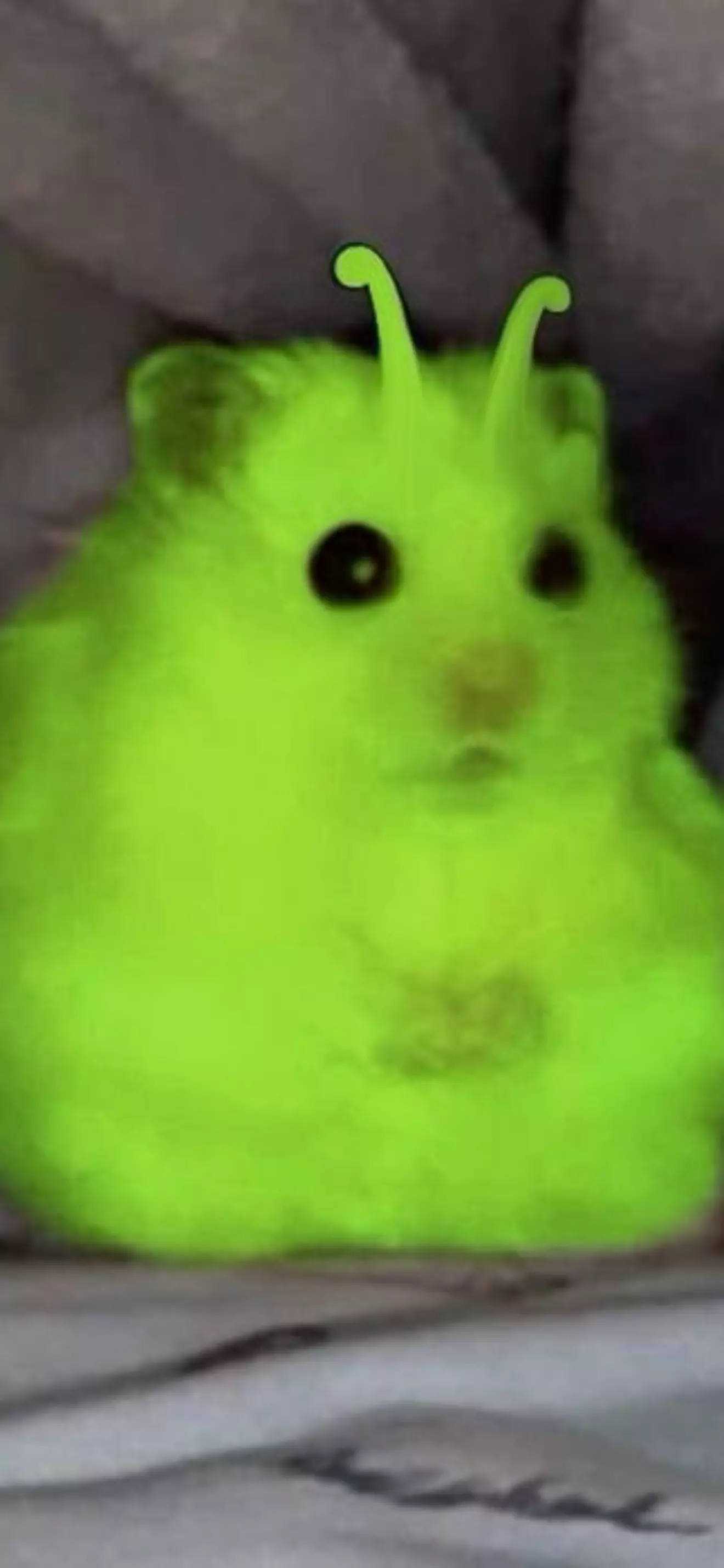 ซี
