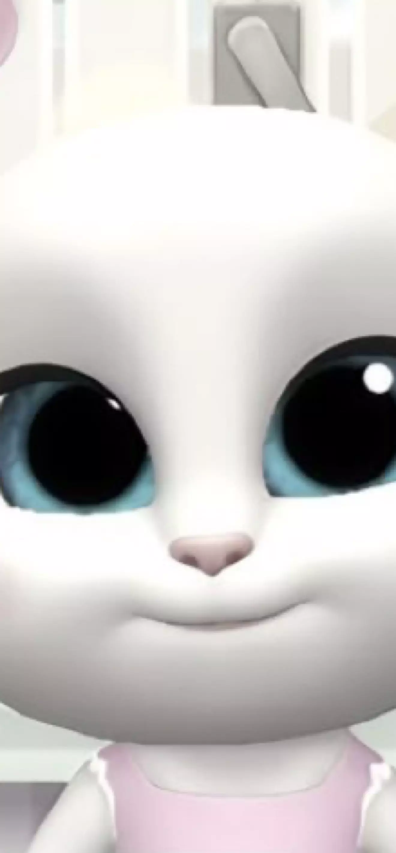 Y/n