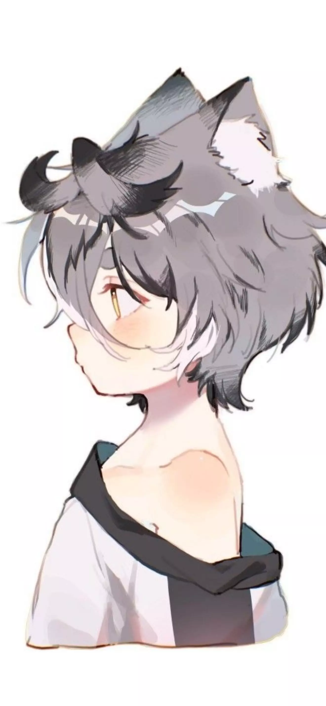 Kitty 