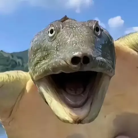 Có cái peter 