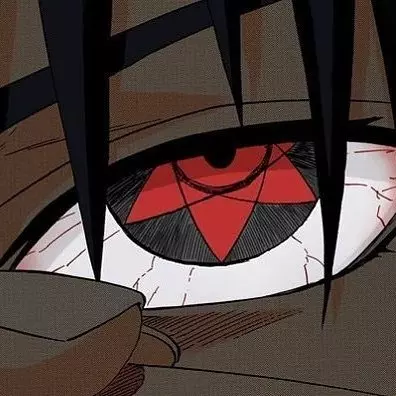 Bo