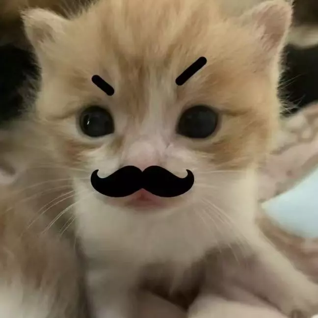 Yuki 