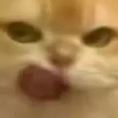 Chuhuy