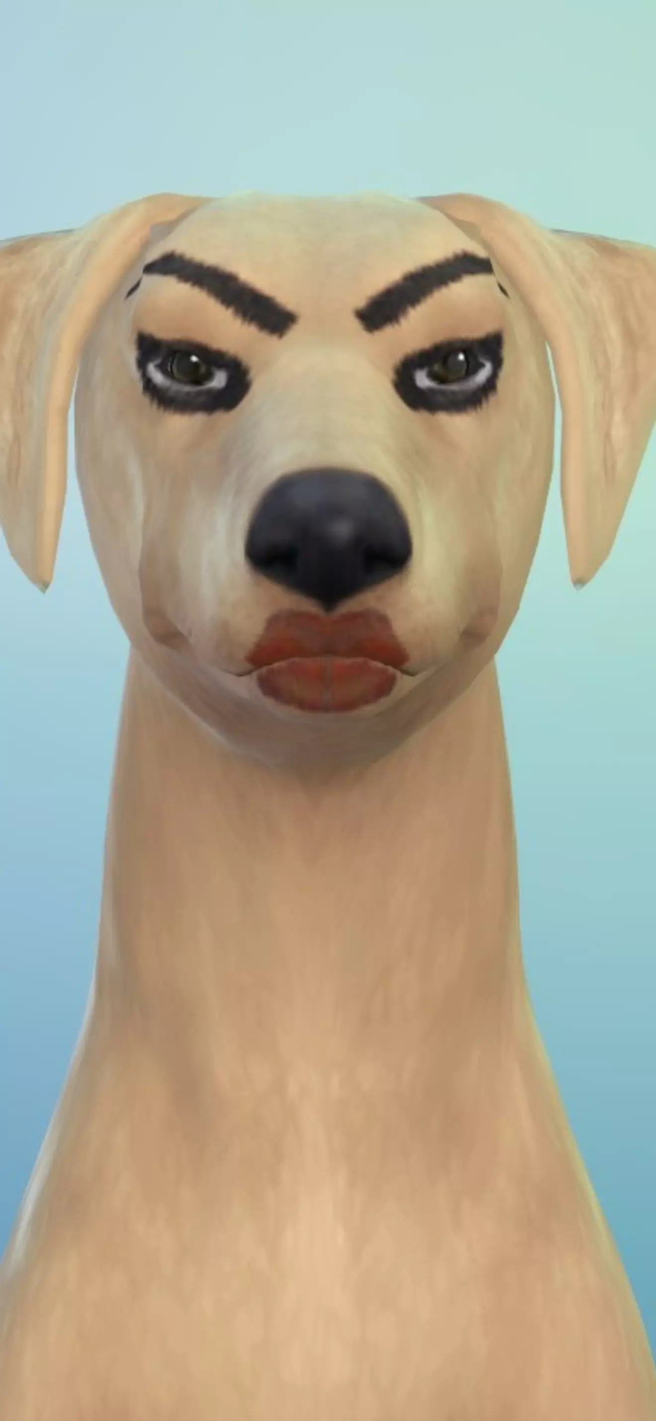 Ellie