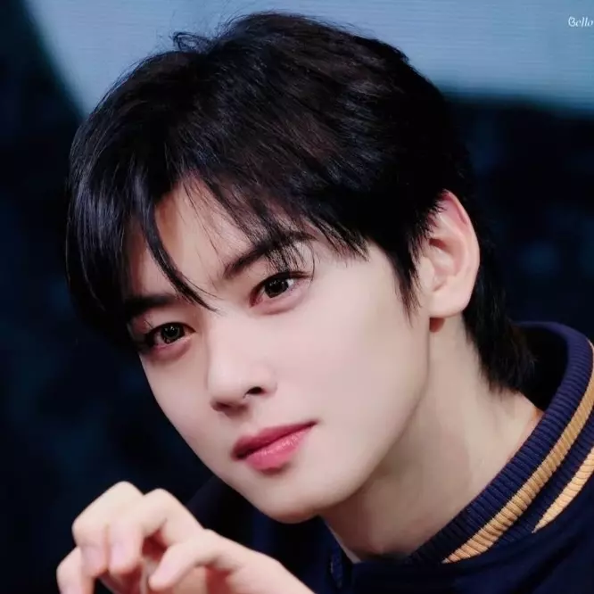 Cha Eun Woo