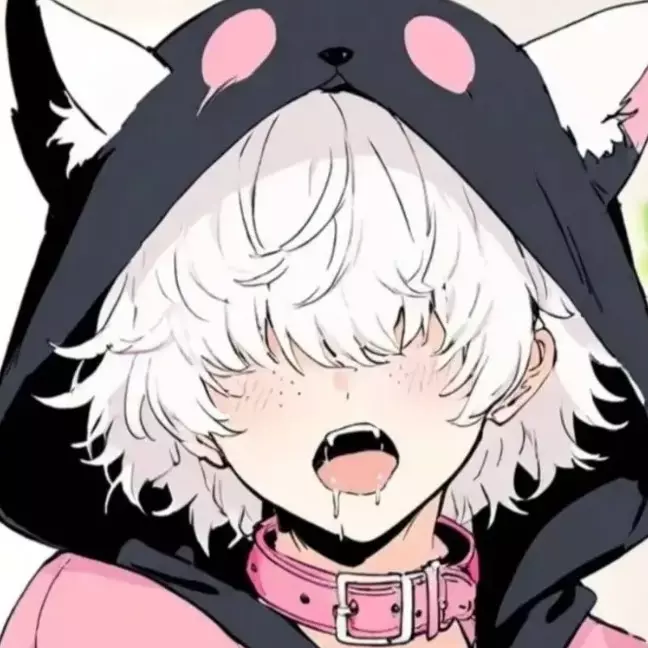 アニメシュニク 