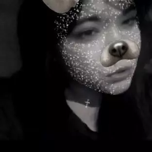 викки