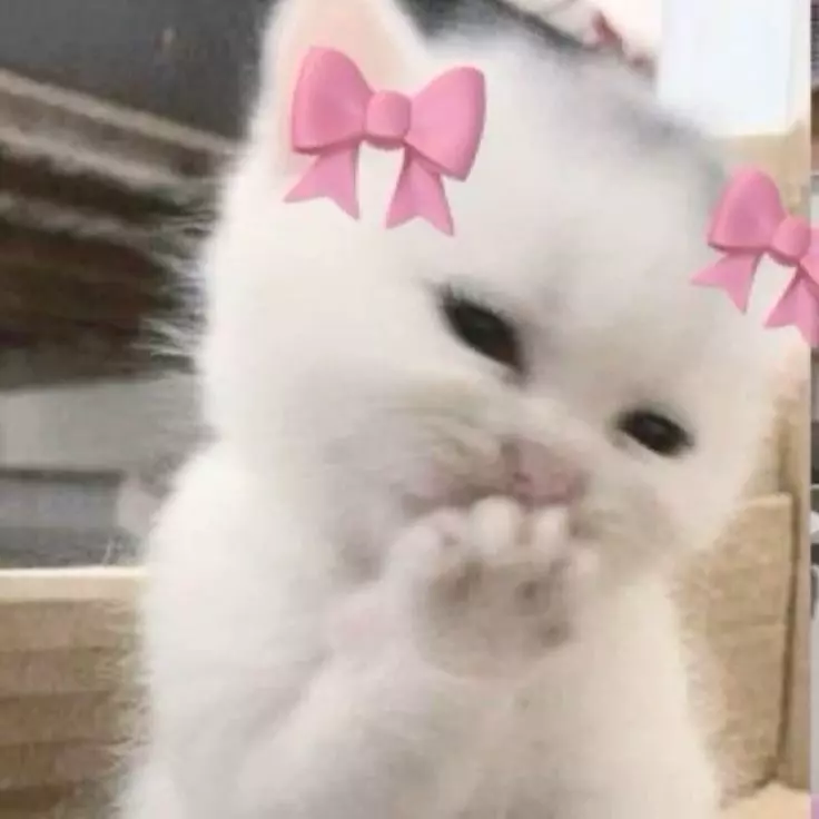 Yumi