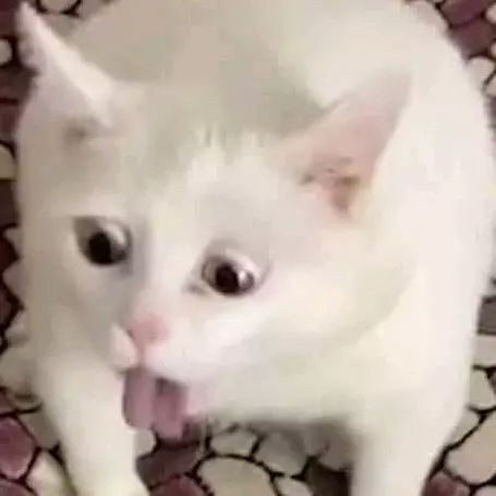 Uzzzjj