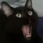 Alora