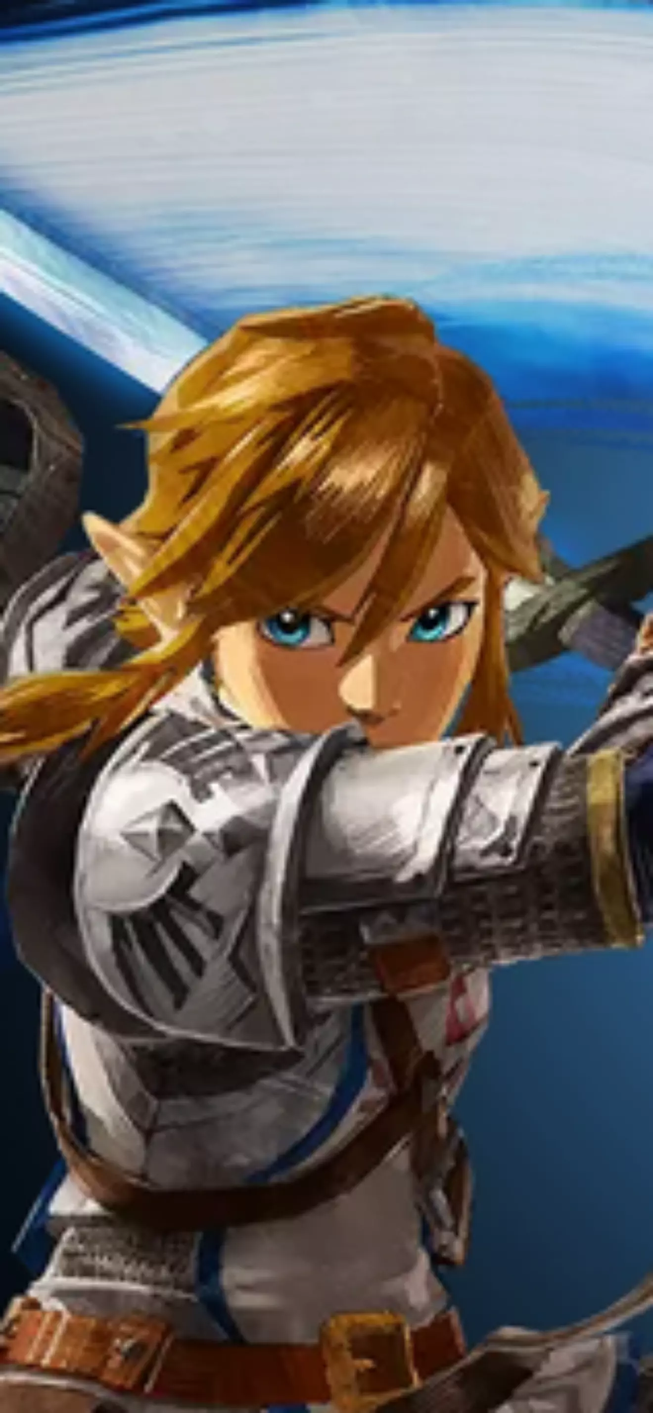LinkTLOZ125