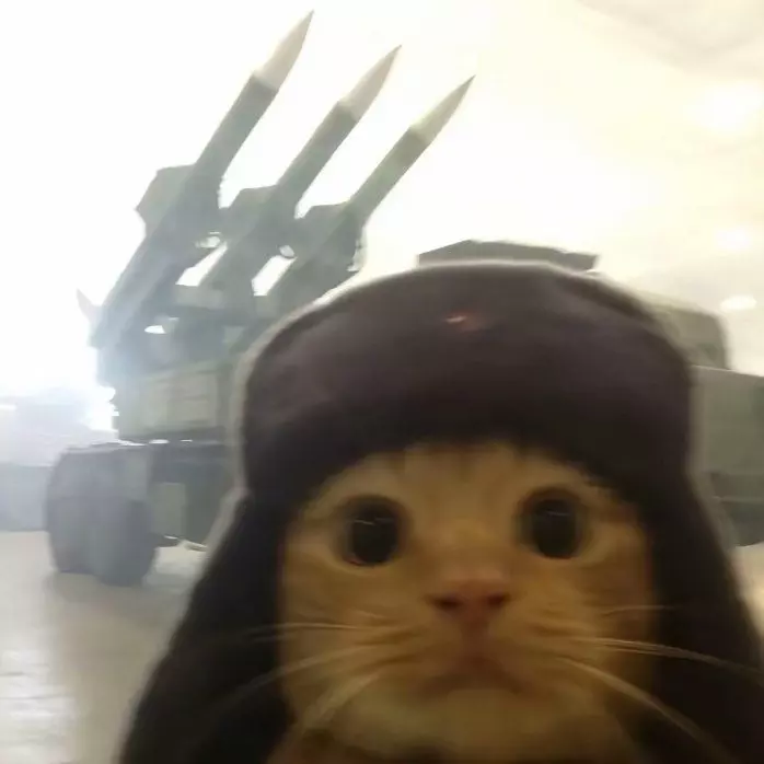 Paffer 